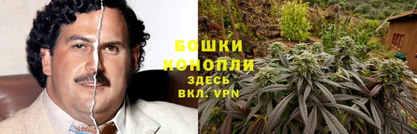 соль ск Абаза