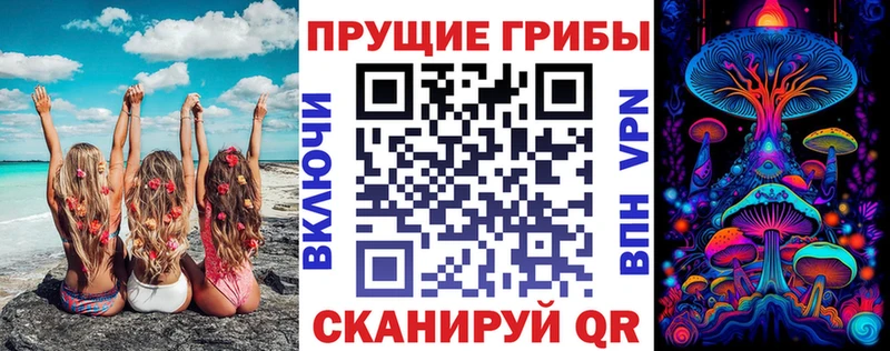мега маркетплейс  что такое наркотик  Пучеж  Псилоцибиновые грибы прущие грибы 